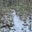 추성산장 이미지