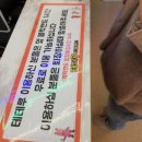 테테루 드림랜드 이미지