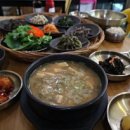 그리운보리밥집 | 속초 골목에서 만난 진짜 밥상, 그리운보리밥밥 후기 속초 맛집 그리운보리밥