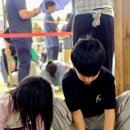 (주)제주드림여행사 투어코리아