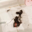 북한산 화장실 이미지