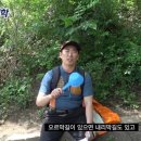 허광웅의 아구세상