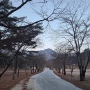 팔부농장 | [강원영월]구봉대산등산코스! (법흥사일주문~법흥사~널무재~구봉대산~음다래골~일주문) 신년 첫 산행이...