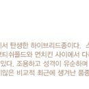 링동