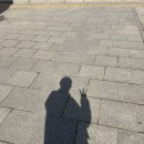 (재)한국등잔박물관 | 국립중앙박물관 특별전 우리들의 이순신 후기