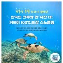 YJ카케어 | 하와이 스노클링 투어 추천! 거북이 100% 보는 5900개 후기가 증명 + 예약 꿀팁