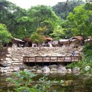 소백산 남천야영장2 이미지