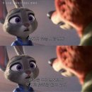 양주유도회관 이미지