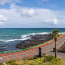 제주힐리조트 이미지