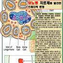 그냥교회 출석합니다. 이미지