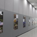 대구전시컨벤션센터(동관) 이미지