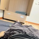 샤인스테이 | 학림사 템플스테이 체험형 솔직후기 (주차, 밥, 준비물)