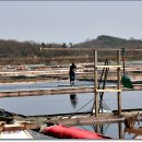 경기둘레길 안산49코스 이미지