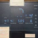 도미네로 | 5월1주: 친정 나들이