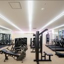 디데이핏 이미지