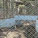 바위농장 | 파타야 가족여행 추천 즐길거리 백만년바위공원과 악어농장 악어쇼 후기까지 추천!