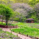 남도삼백리길(9코스) Daum카페