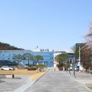 양주약국 이미지