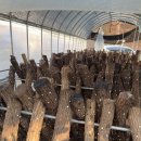 신현농장 | 물왕저수지 보양식 산현농장 물왕저수지점!!