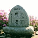 [모집중] 근로자의 날 평일산행! 남원 봉화산 산처럼 100산 철쭉산행! 2024년 05월 01일 수요일! 이미지