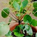 즉연농장 이미지