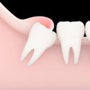 테라치과의원 이미지