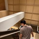 가자 펫택시 강릉점 | 강릉여행 숙소 신라 모노그램 강릉 호텔 내돈내산 후기