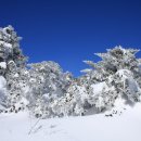 한라산백록담 이미지