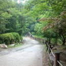 유명산골 이미지