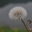 운호마을 이미지