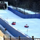 좌구산 썰매장 이미지