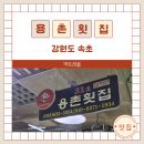 용촌들1 | 속초횟집 용촌횟집 가성비 좋았던 모둠회 후기