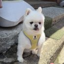 부산대 연어 포케 샐러드 ‘읍천리382’