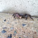 서천당구클럽 이미지