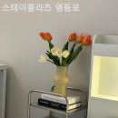 스테이플라츠 이미지