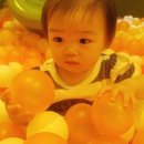 더놀