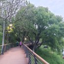 낙동강역사너울길 이미지