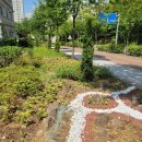 한보라2로 이미지