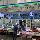 싱싱0202 이미지