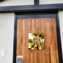 모모별장 이미지