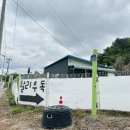 할리우독 이미지