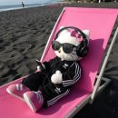 해운대유치원 이미지