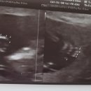 함춘여성의원 이미지