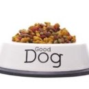 꿈이랑펫 이미지