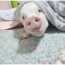 복남슈퍼 이미지