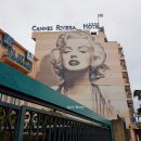 칸플러스호텔 이미지