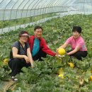 철수농장 이미지