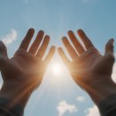 안경다움 이미지