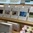 바라기한약국 이미지