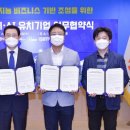 도시둥지
